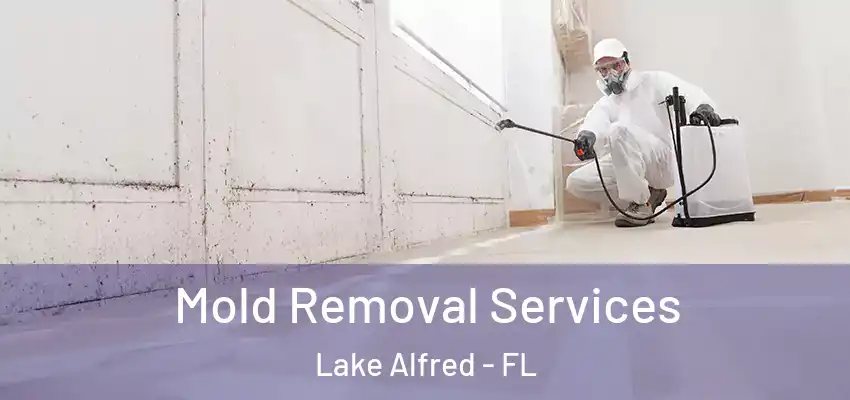  Mold Removal Services Lake Alfred - FL