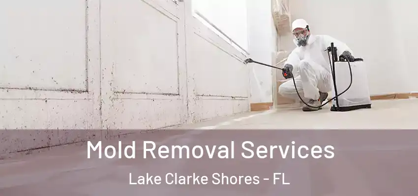  Mold Removal Services Lake Clarke Shores - FL