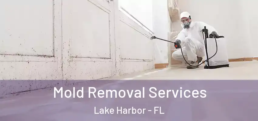  Mold Removal Services Lake Harbor - FL