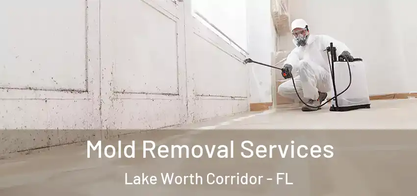  Mold Removal Services Lake Worth Corridor - FL