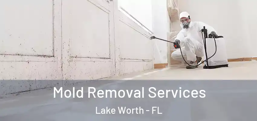  Mold Removal Services Lake Worth - FL