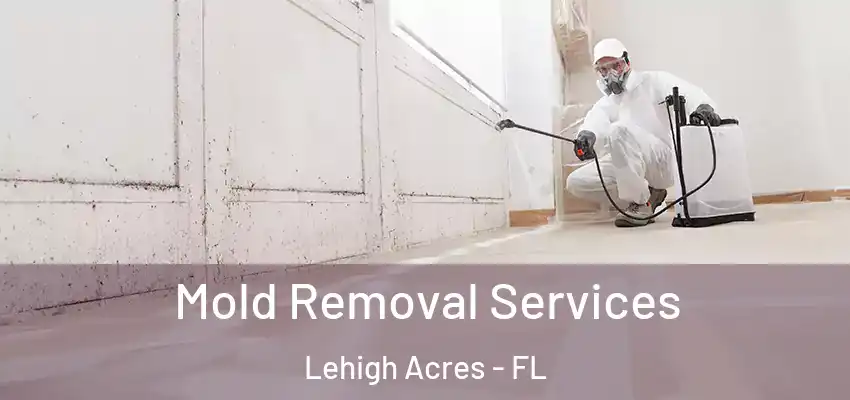 Mold Removal Services Lehigh Acres - FL