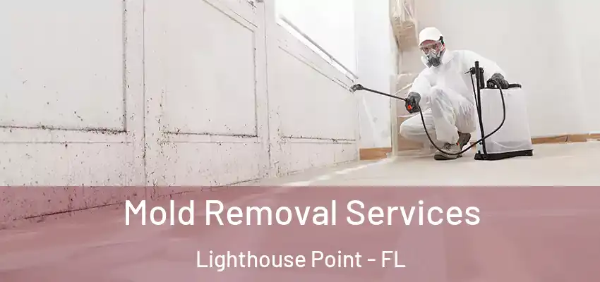  Mold Removal Services Lighthouse Point - FL