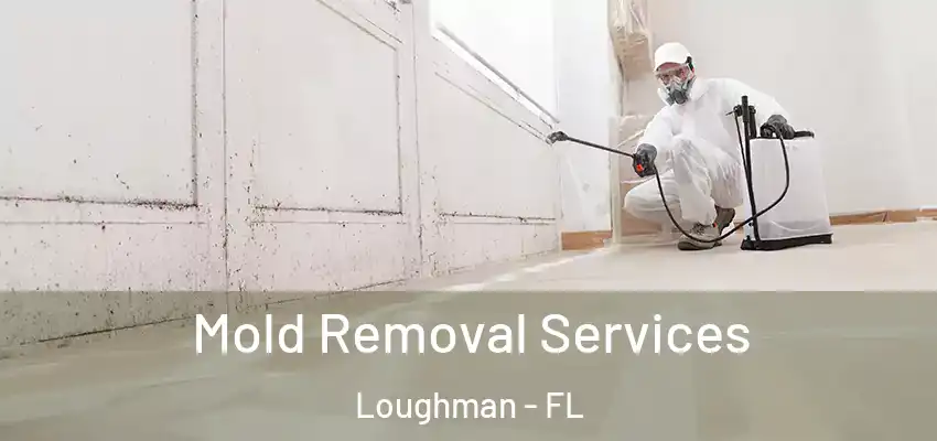 Mold Removal Services Loughman - FL