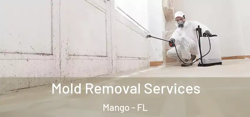 Mold Removal Services Mango - FL