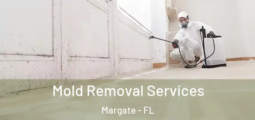  Mold Removal Services Margate - FL