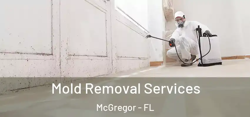 Mold Removal Services McGregor - FL