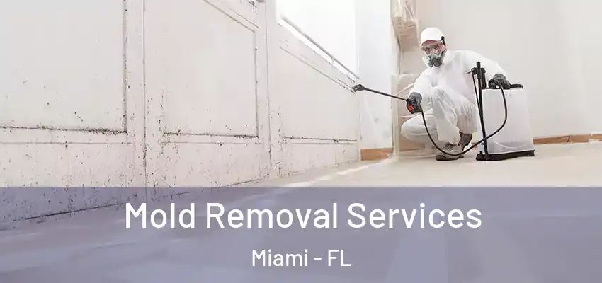 Mold Removal Services Miami - FL