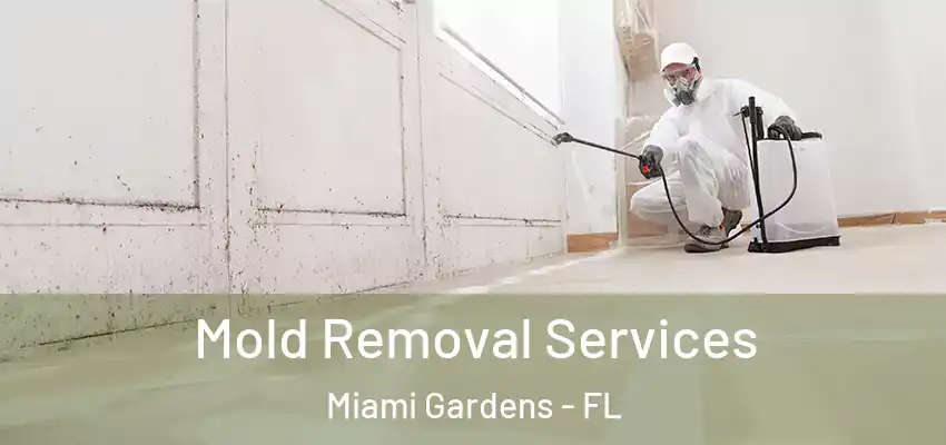  Mold Removal Services Miami Gardens - FL
