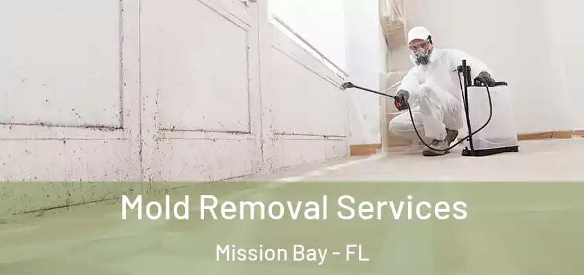  Mold Removal Services Mission Bay - FL