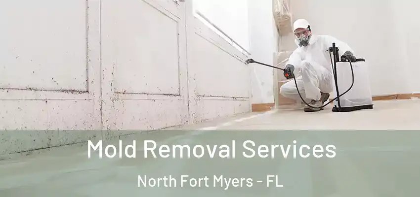  Mold Removal Services North Fort Myers - FL