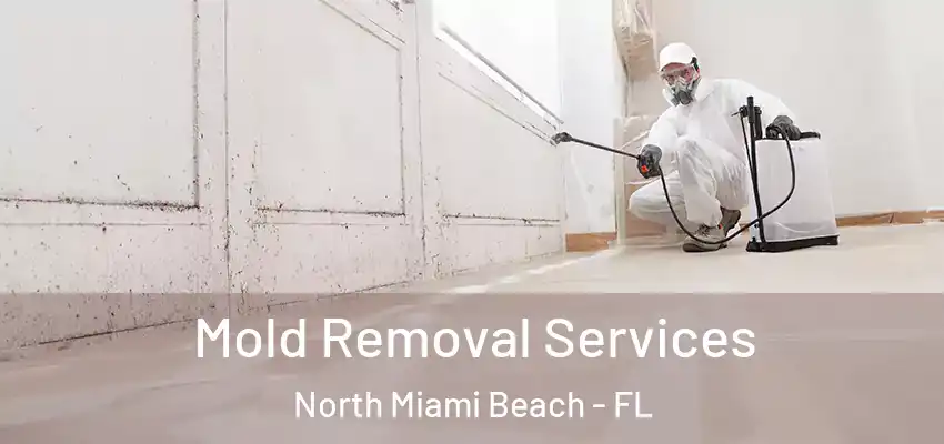 Mold Removal Services North Miami Beach - FL