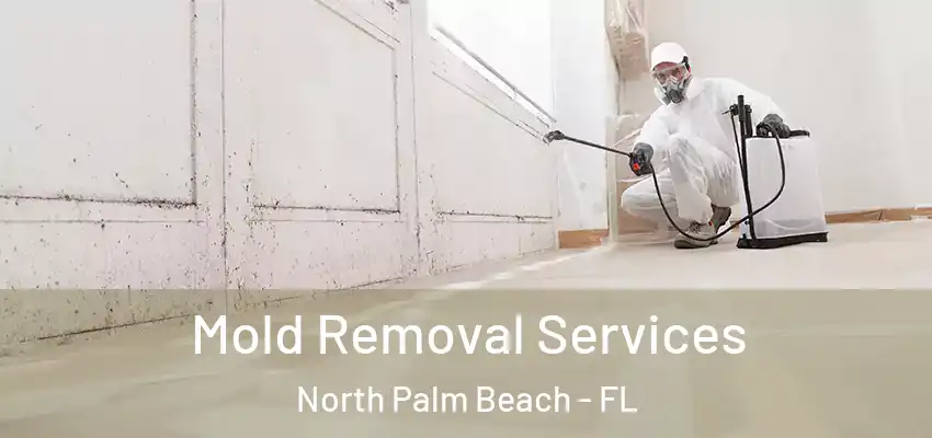 Mold Removal Services North Palm Beach - FL