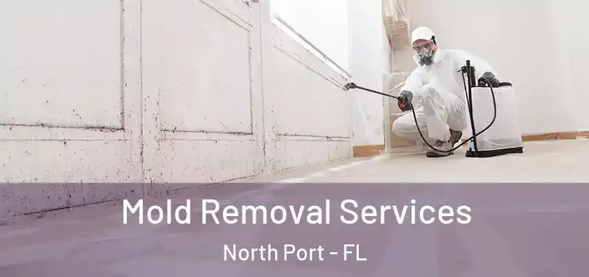 Mold Removal Services North Port - FL