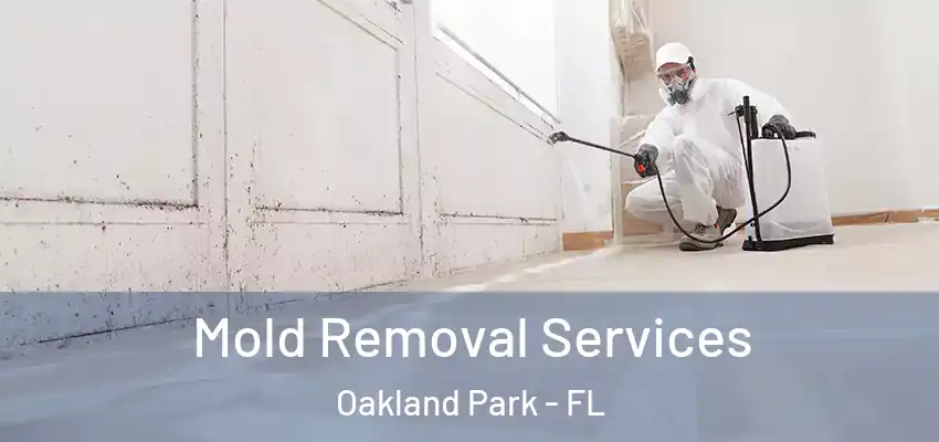  Mold Removal Services Oakland Park - FL