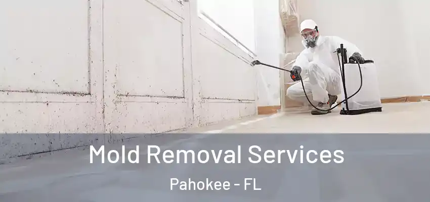  Mold Removal Services Pahokee - FL