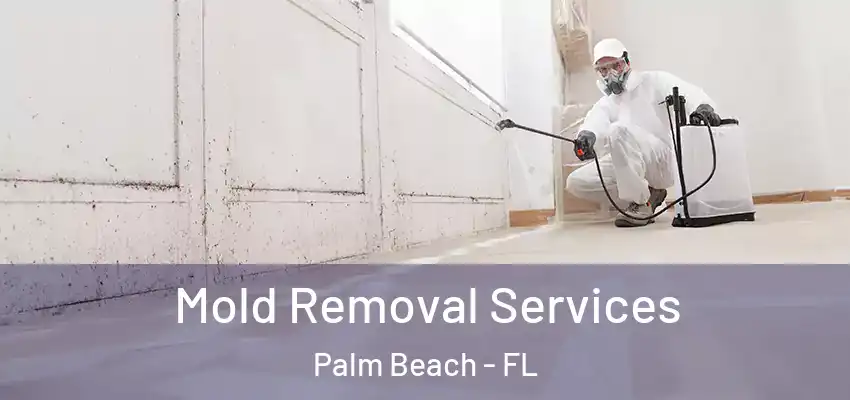 Mold Removal Services Palm Beach - FL