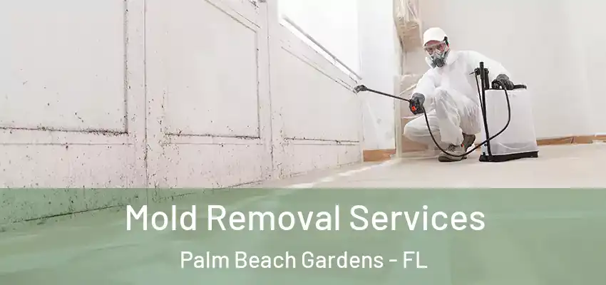  Mold Removal Services Palm Beach Gardens - FL