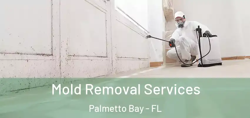 Mold Removal Services Palmetto Bay - FL