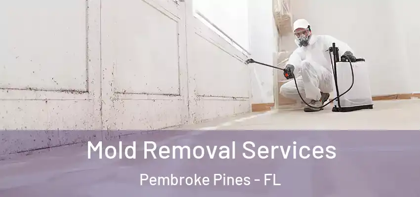  Mold Removal Services Pembroke Pines - FL