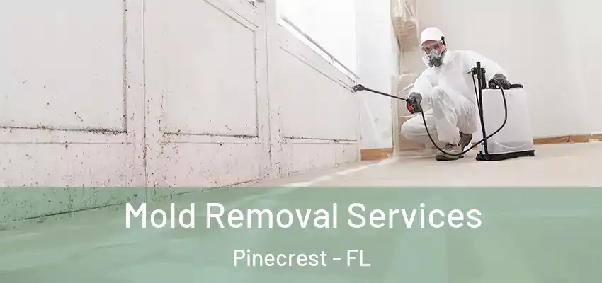 Mold Removal Services Pinecrest - FL