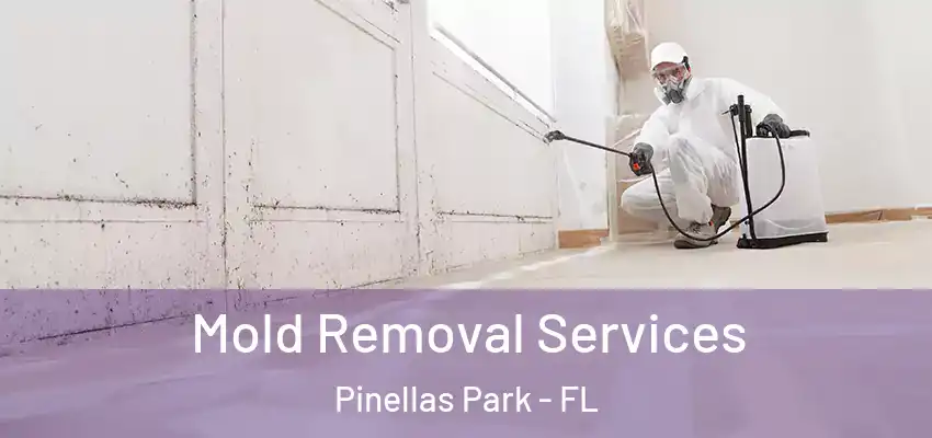 Mold Removal Services Pinellas Park - FL