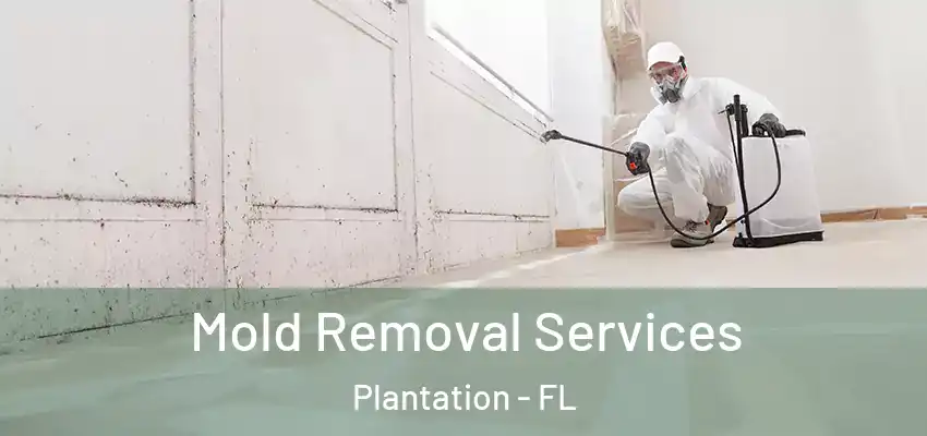 Mold Removal Services Plantation - FL