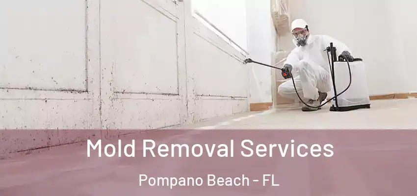  Mold Removal Services Pompano Beach - FL
