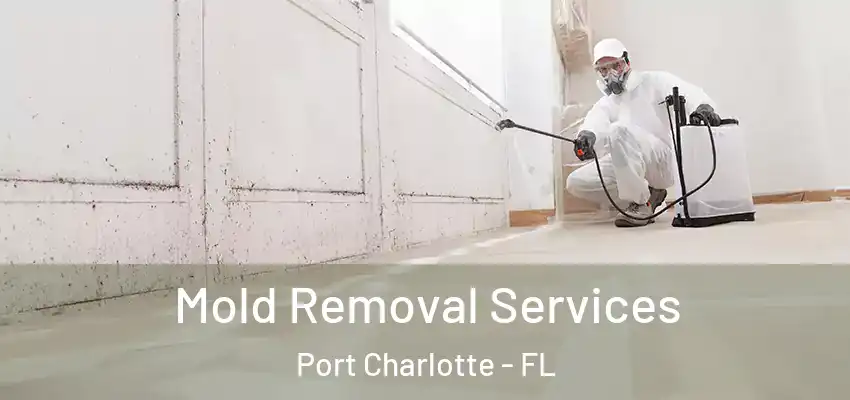 Mold Removal Services Port Charlotte - FL