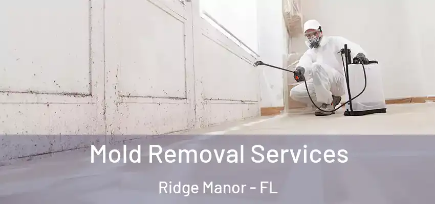 Mold Removal Services Ridge Manor - FL