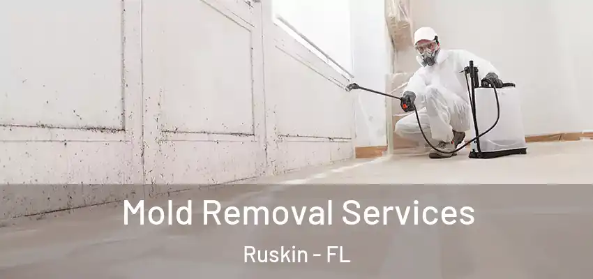 Mold Removal Services Ruskin - FL