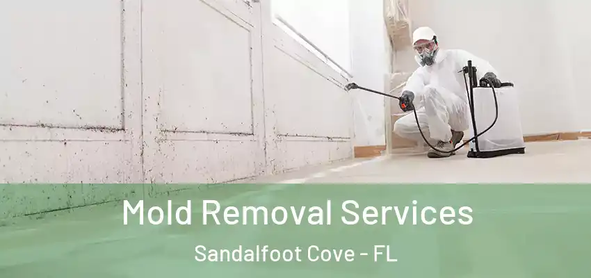  Mold Removal Services Sandalfoot Cove - FL