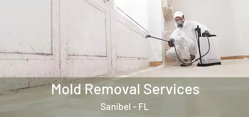 Mold Removal Services Sanibel - FL