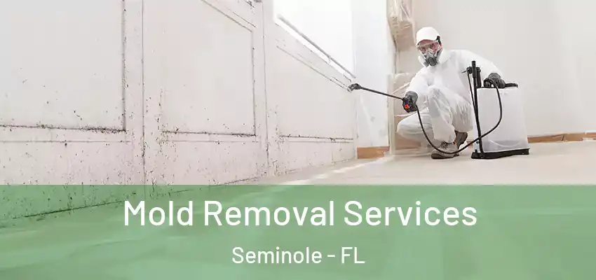  Mold Removal Services Seminole - FL