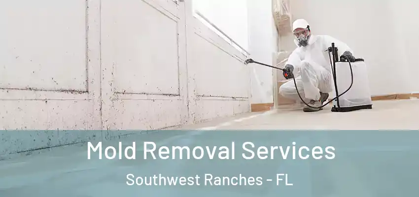Mold Removal Services Southwest Ranches - FL