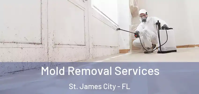  Mold Removal Services St. James City - FL
