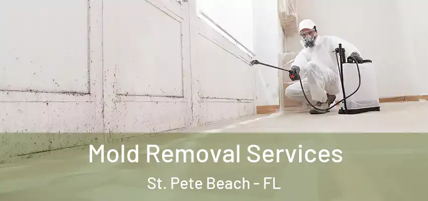 Mold Removal Services St. Pete Beach - FL