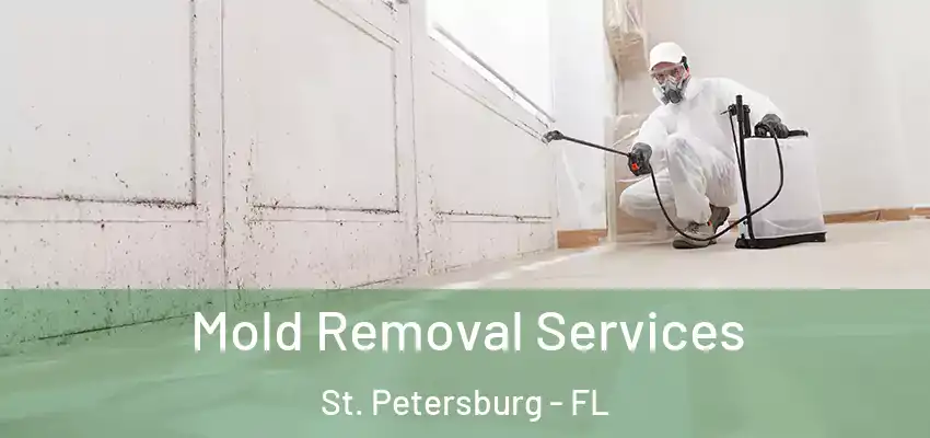 Mold Removal Services St. Petersburg - FL