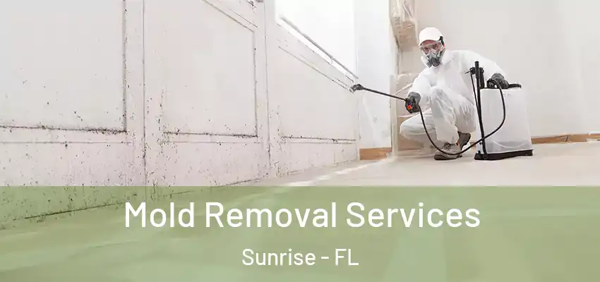 Mold Removal Services Sunrise - FL