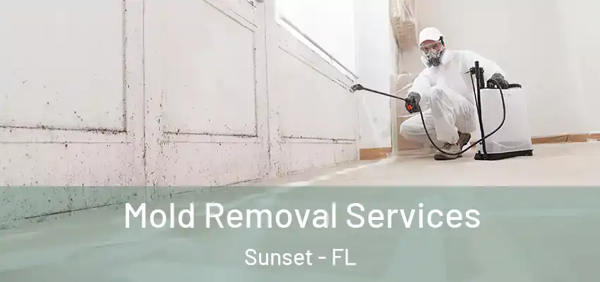 Mold Removal Services Sunset - FL