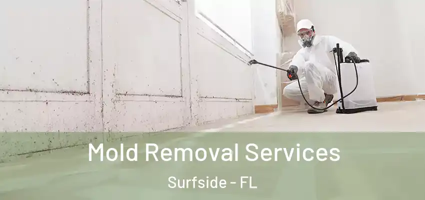 Mold Removal Services Surfside - FL