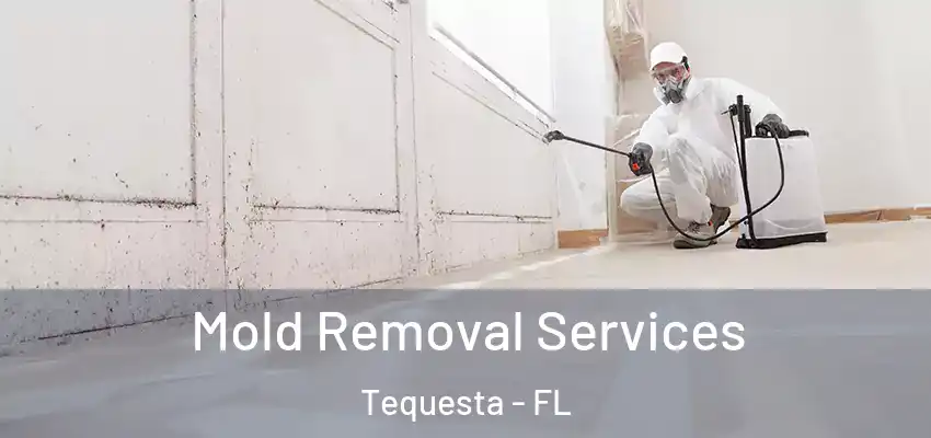  Mold Removal Services Tequesta - FL