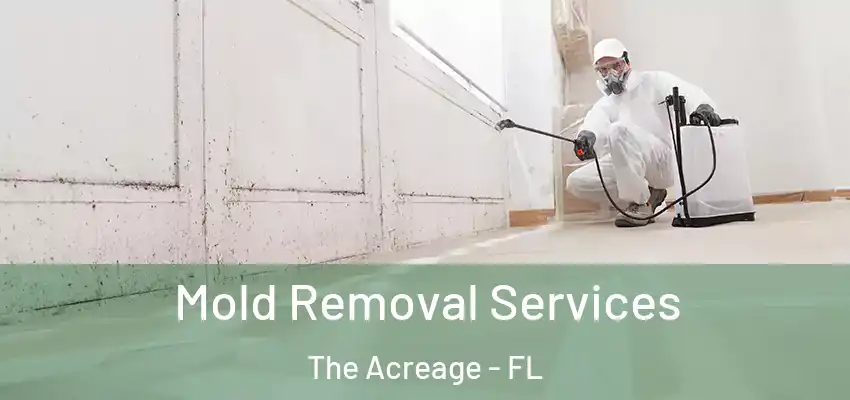  Mold Removal Services The Acreage - FL