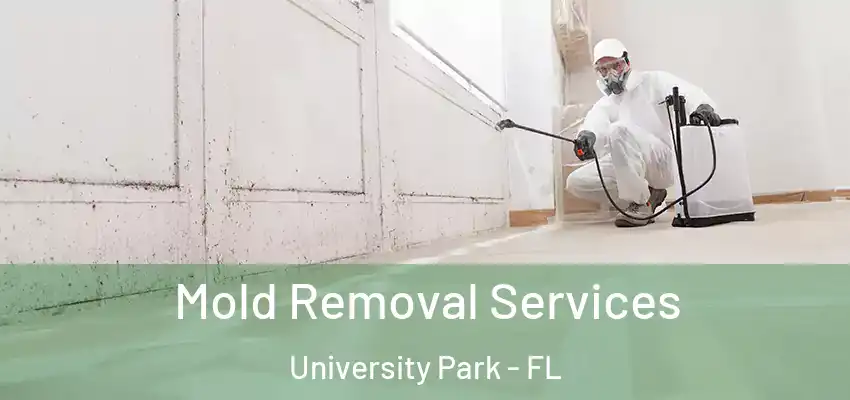  Mold Removal Services University Park - FL