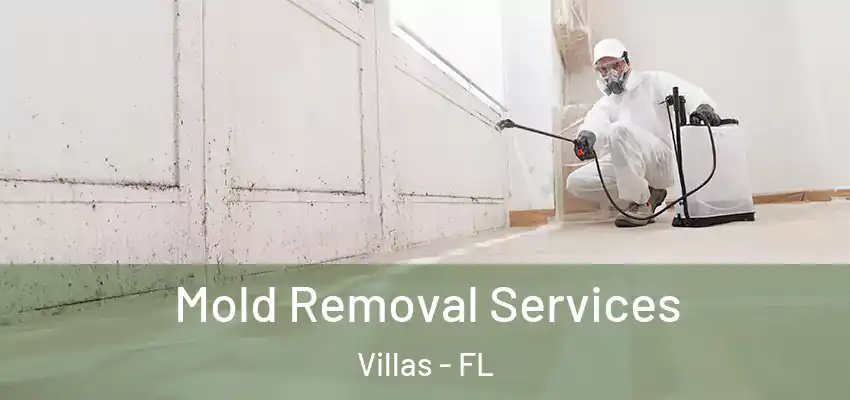 Mold Removal Services Villas - FL