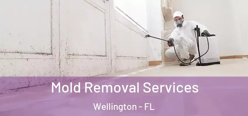  Mold Removal Services Wellington - FL