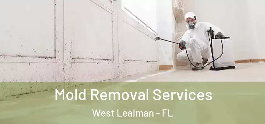  Mold Removal Services West Lealman - FL