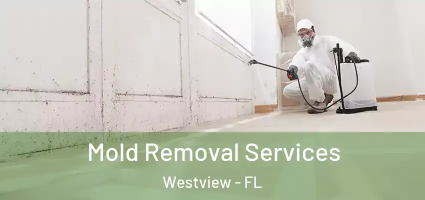 Mold Removal Services Westview - FL