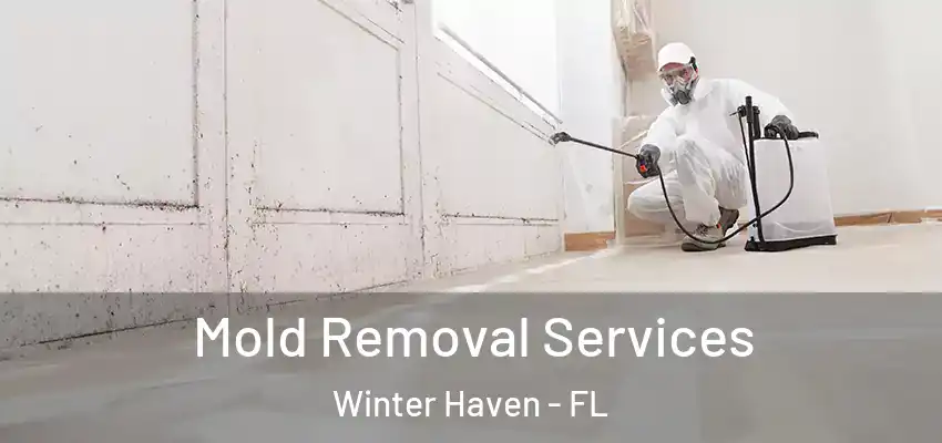 Mold Removal Services Winter Haven - FL