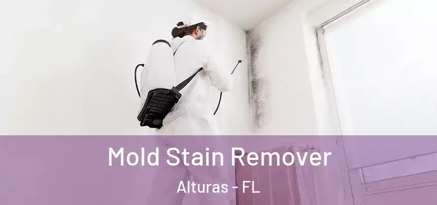 Mold Stain Remover Alturas - FL
